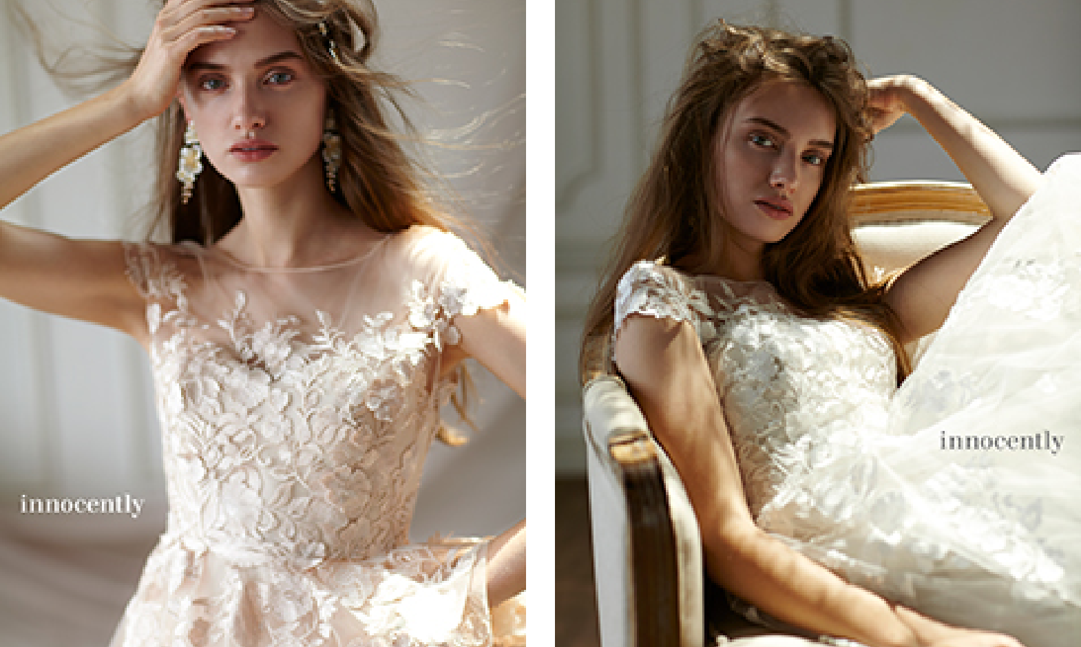 フォトギャラリー